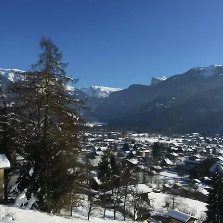 Edelweiss Hotel 2*