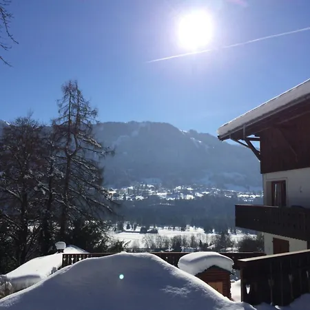 Hotel Edelweiss 2*